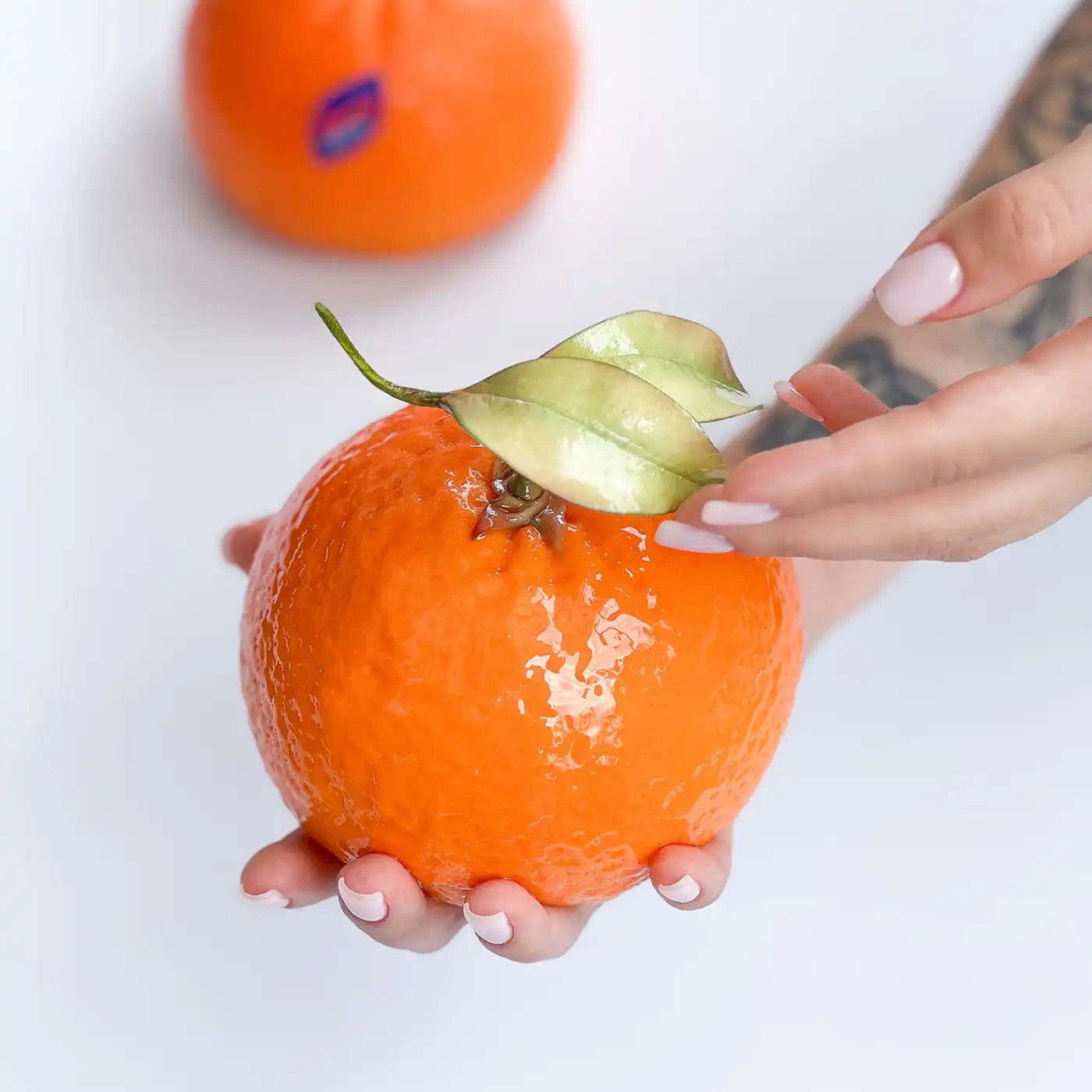Forma silikonowa handmade Orange Dinara Kasko - obrazek 3