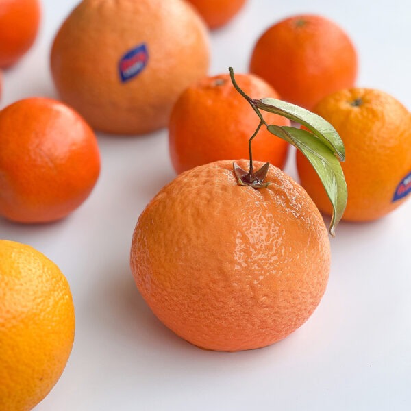 Forma silikonowa handmade Orange Dinara Kasko
