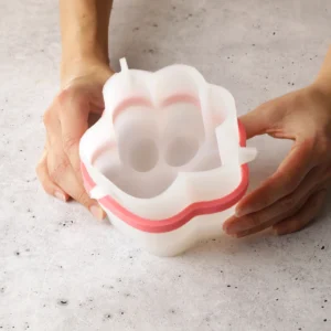 puffy paws bento silikone mould